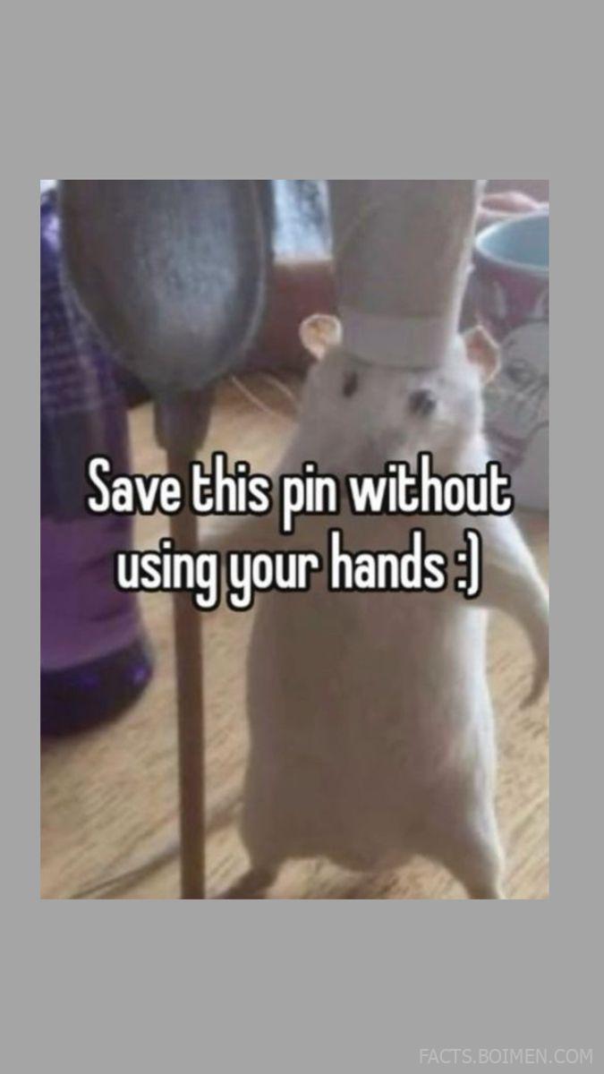 Save This Pin Without Using Your Hands ;)
