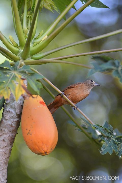 25 Clever Cloud Storage Moves You Wish You Knew Before