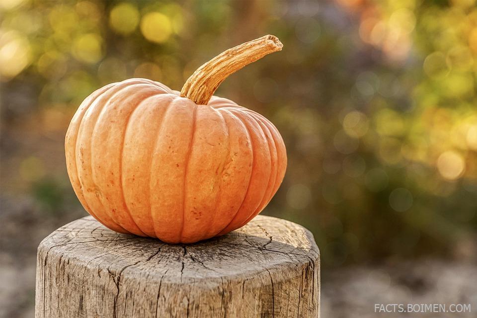18 Pumpkin Spice Hacks That Make Fall Feel Like Halloween Every Day
