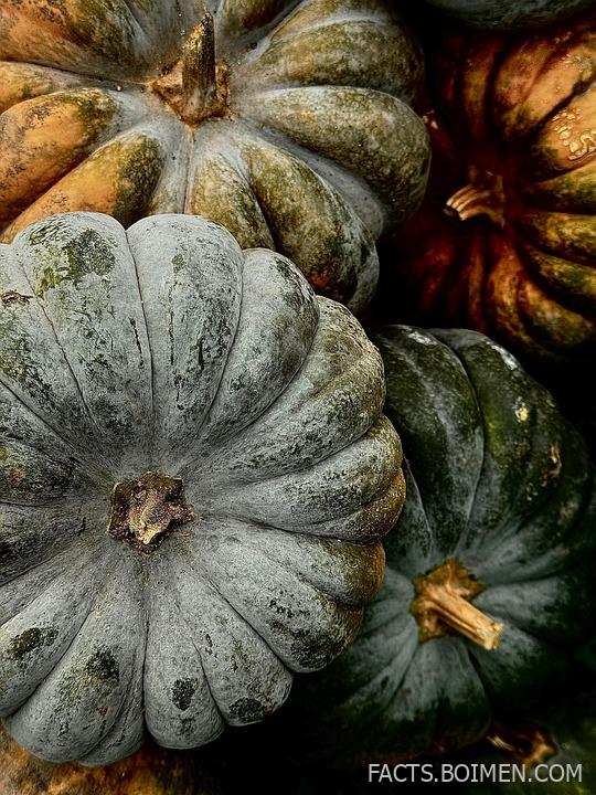 20 Hauntingly Beautiful Halloween Table Ideas for the Perfect Party