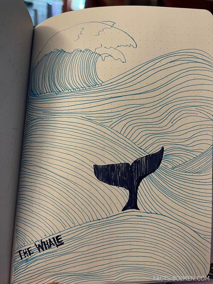 The Whale: Symbolism, Art, and the Depths of Imagination