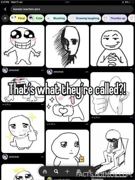 Korean Reaction Pics: The Internet Trend Taking Over Social Media