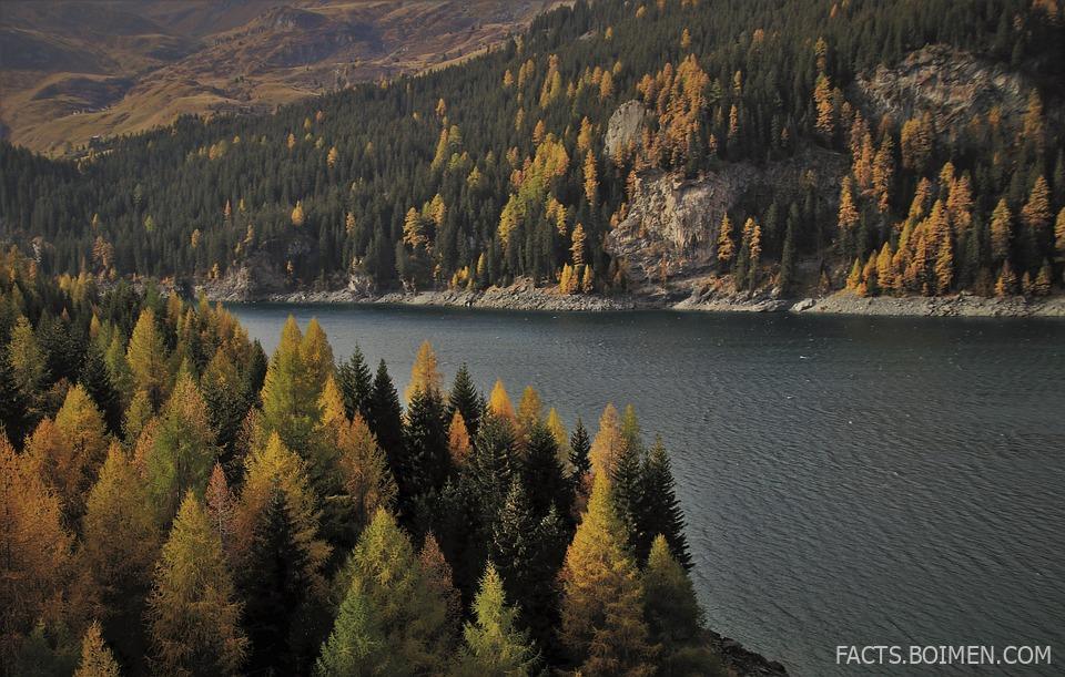 25 Strange Coincidences in History That Will Blow Your Mind