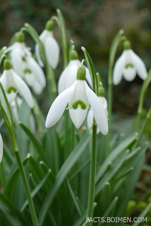 19 Facts So Weird You’ll Think They’re Made Up