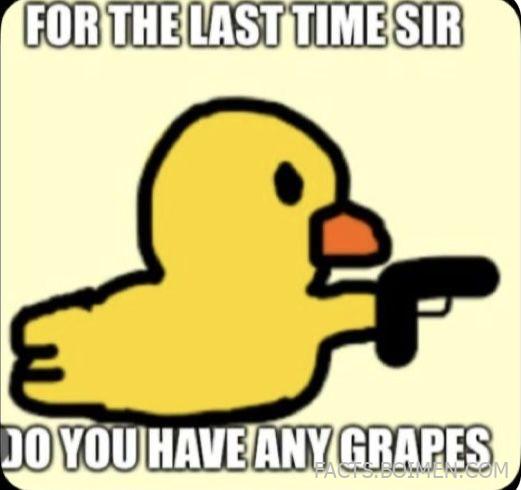 19 Underrated Meme Websites That Perfectly Capture “This Is Too Real” Energy