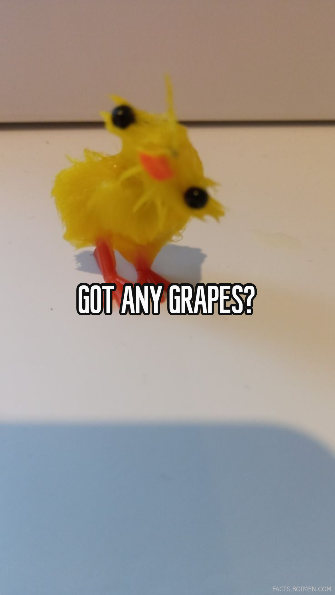 15 Internet Meme Tools That Keep Viral Humor Alive