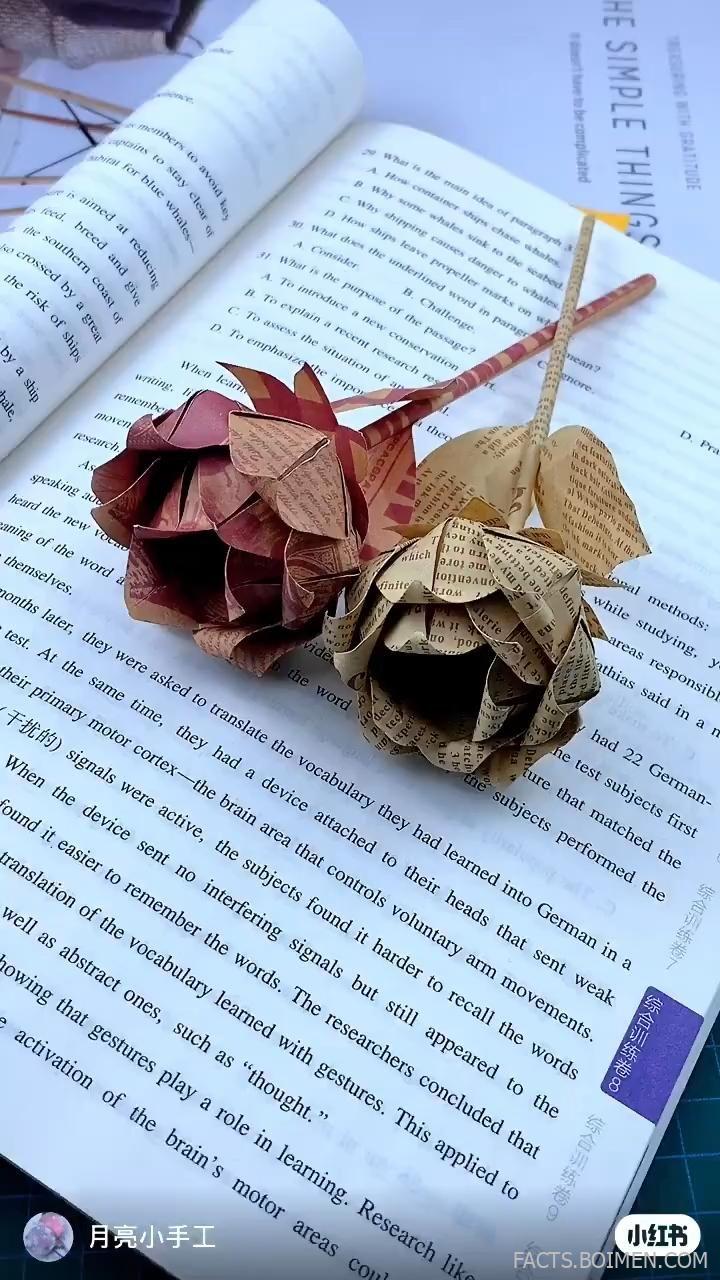 rose websites