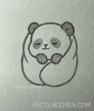 panda watching tips