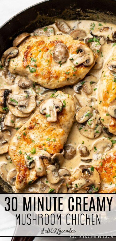 creamy mushroom chicken recipe