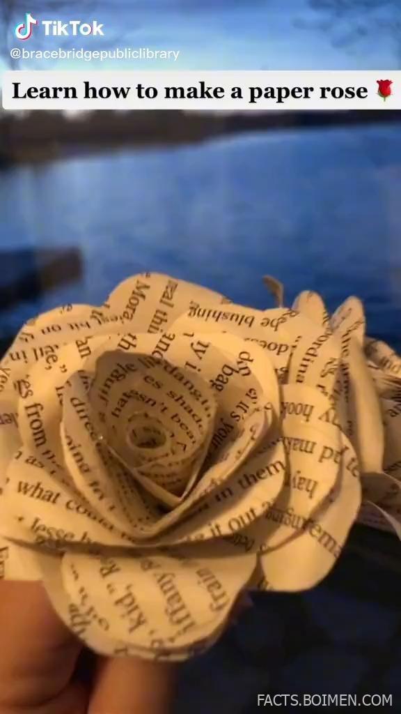 paper rose crafts