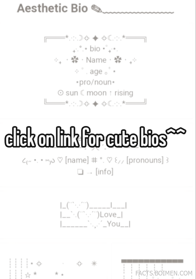aesthetic bio ideas