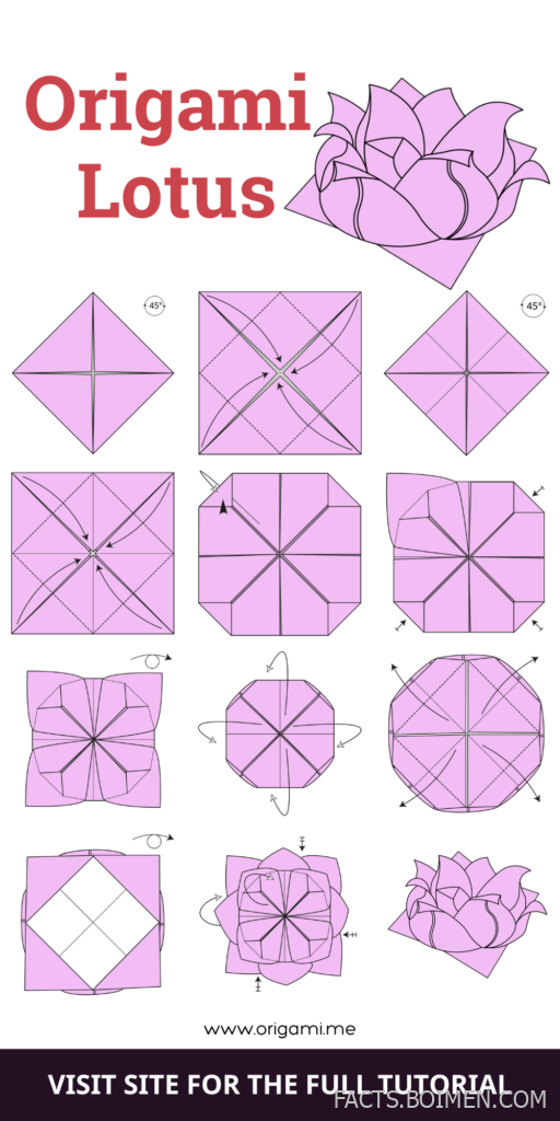 origami lotus