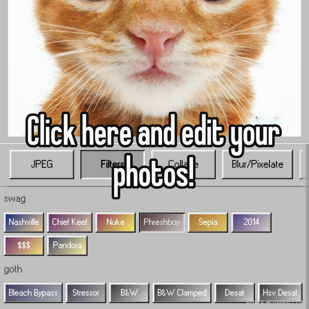 online digicam editor