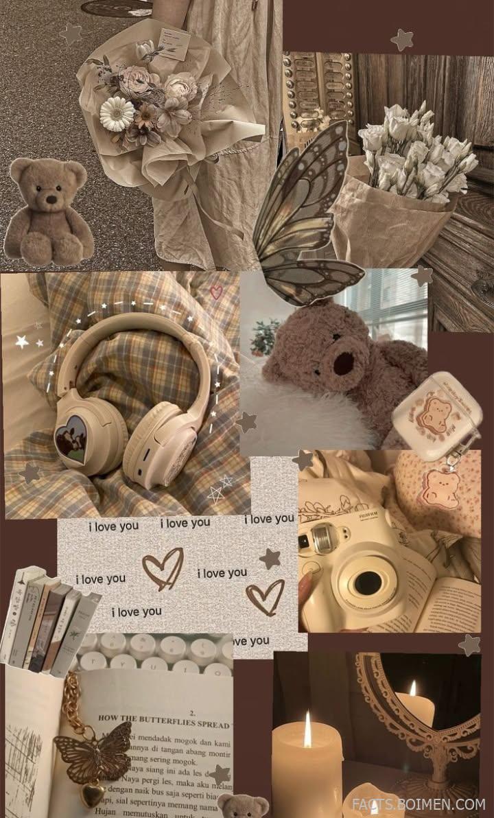 cozy brown aesthetic