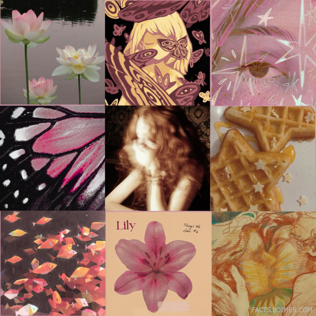 moodboard websites