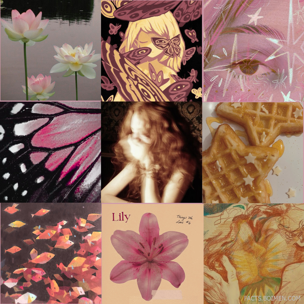 moodboard websites