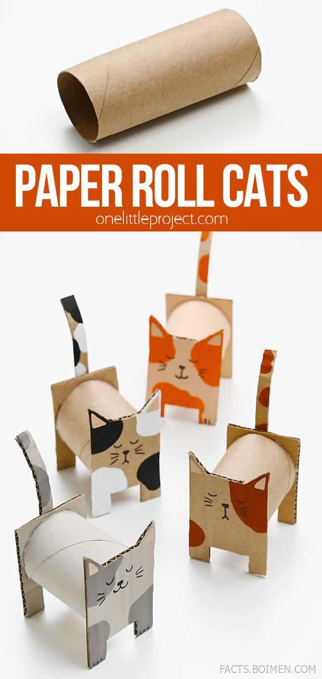 paper roll cat