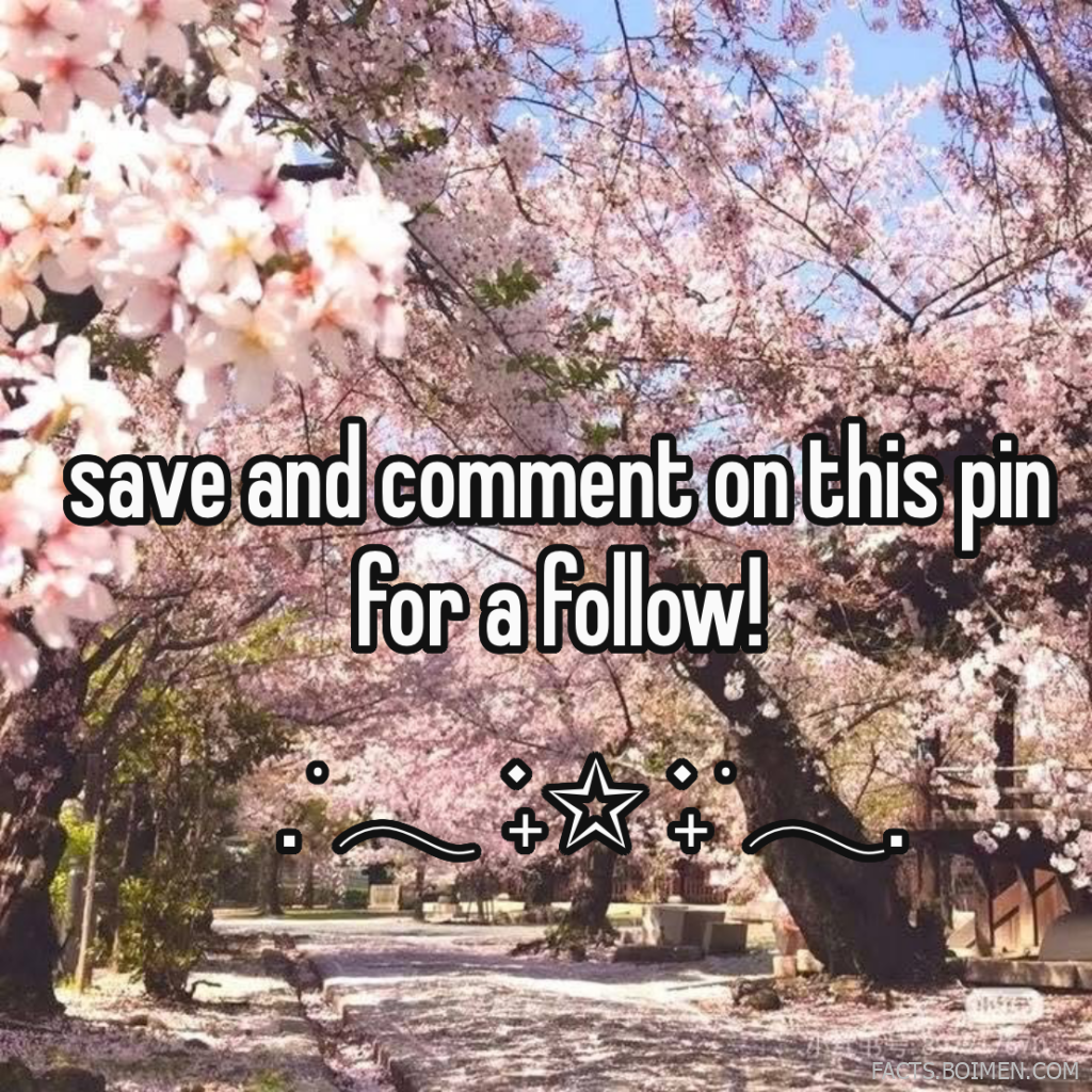 follow back websites