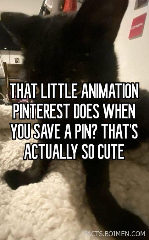 cute save animations