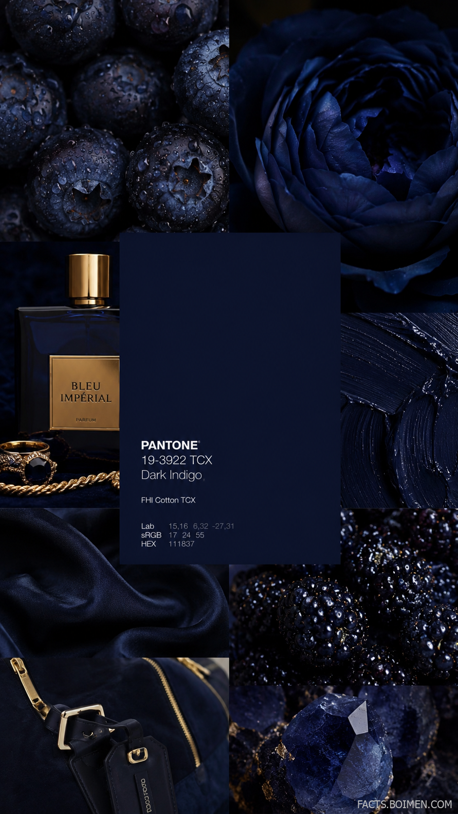dark indigo aesthetic