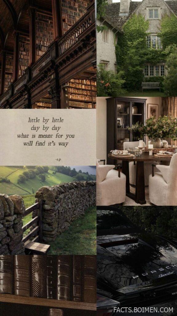 dark academia aesthetic