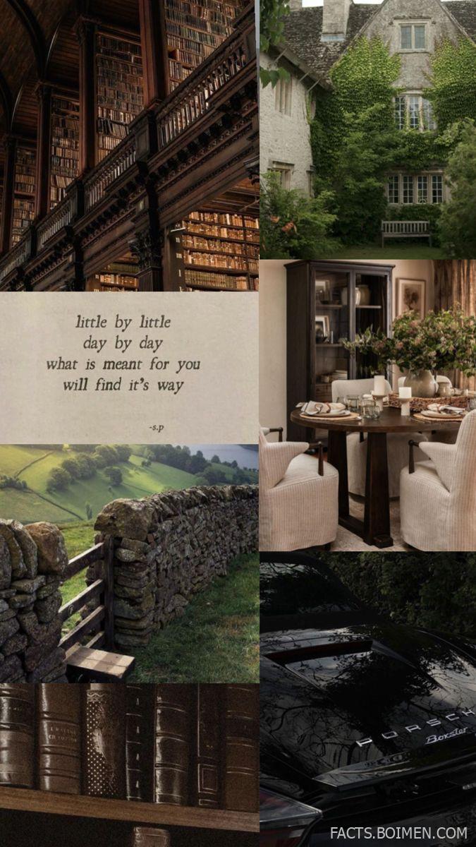 dark academia aesthetic