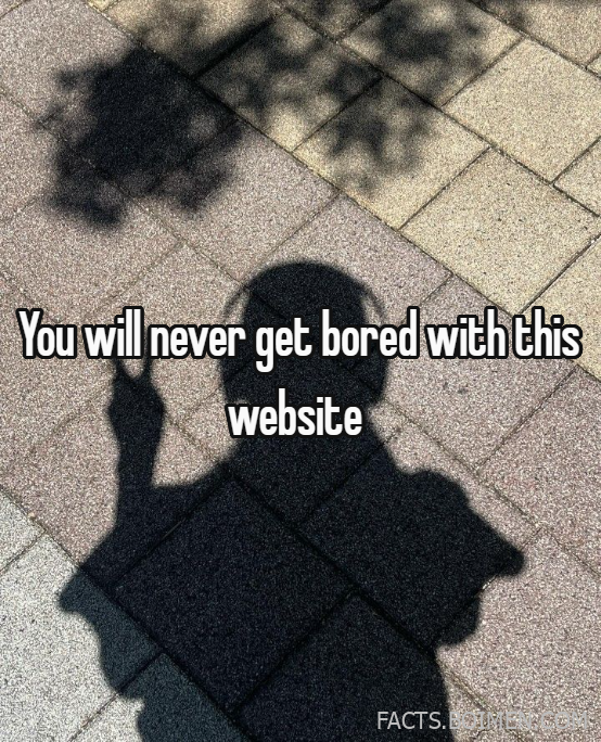 fun websites