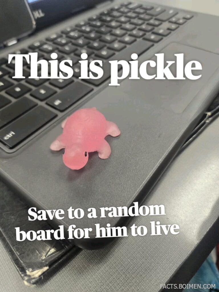 random fun websites