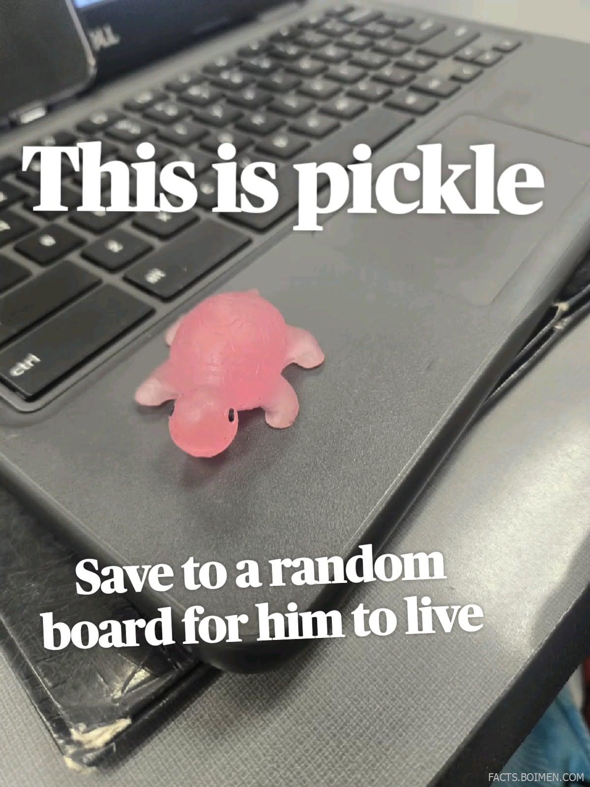 random fun websites