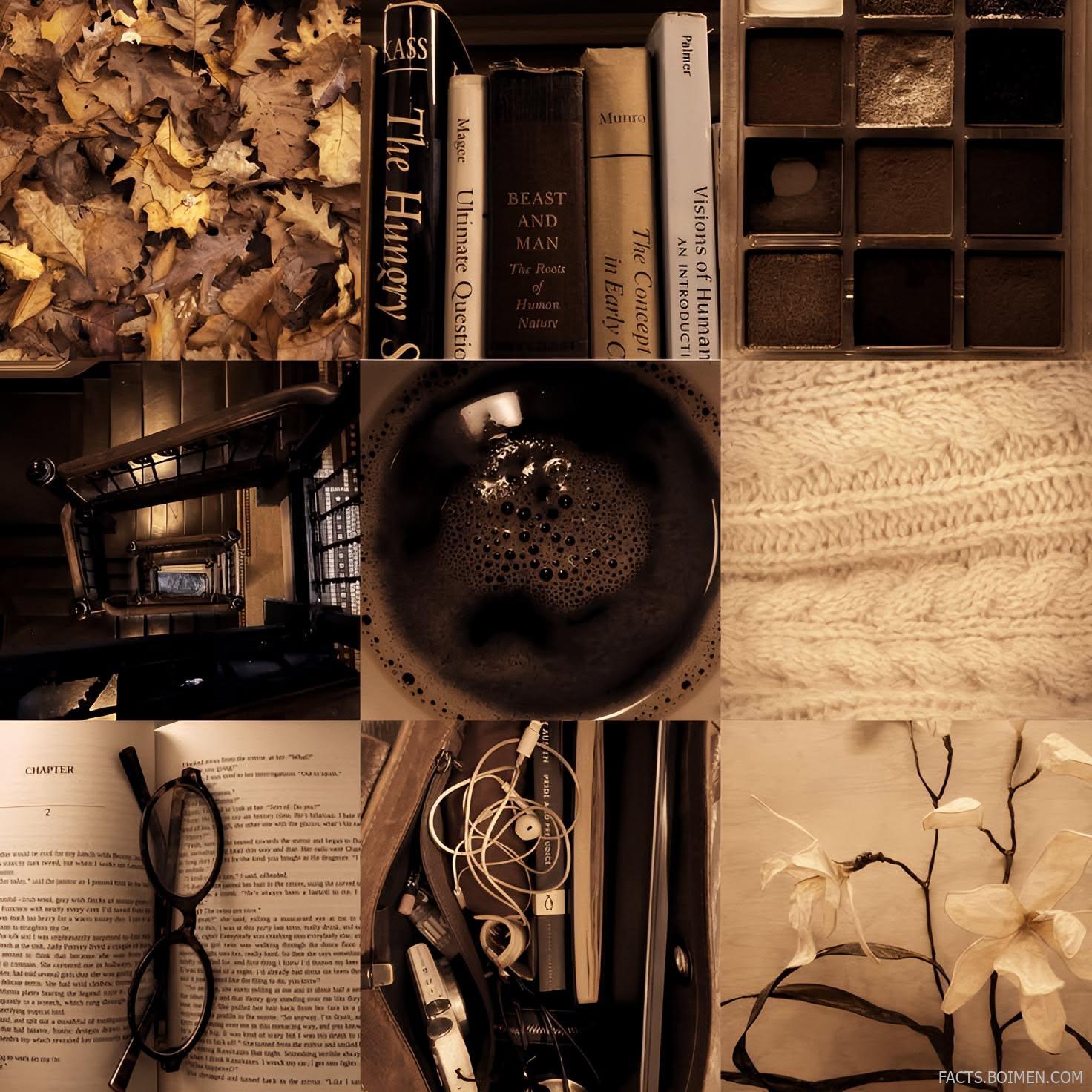 aesthetic moodboard sites