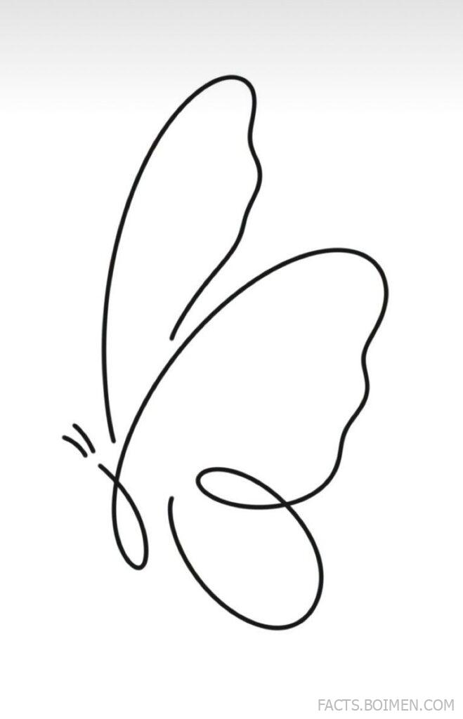 butterfly outline