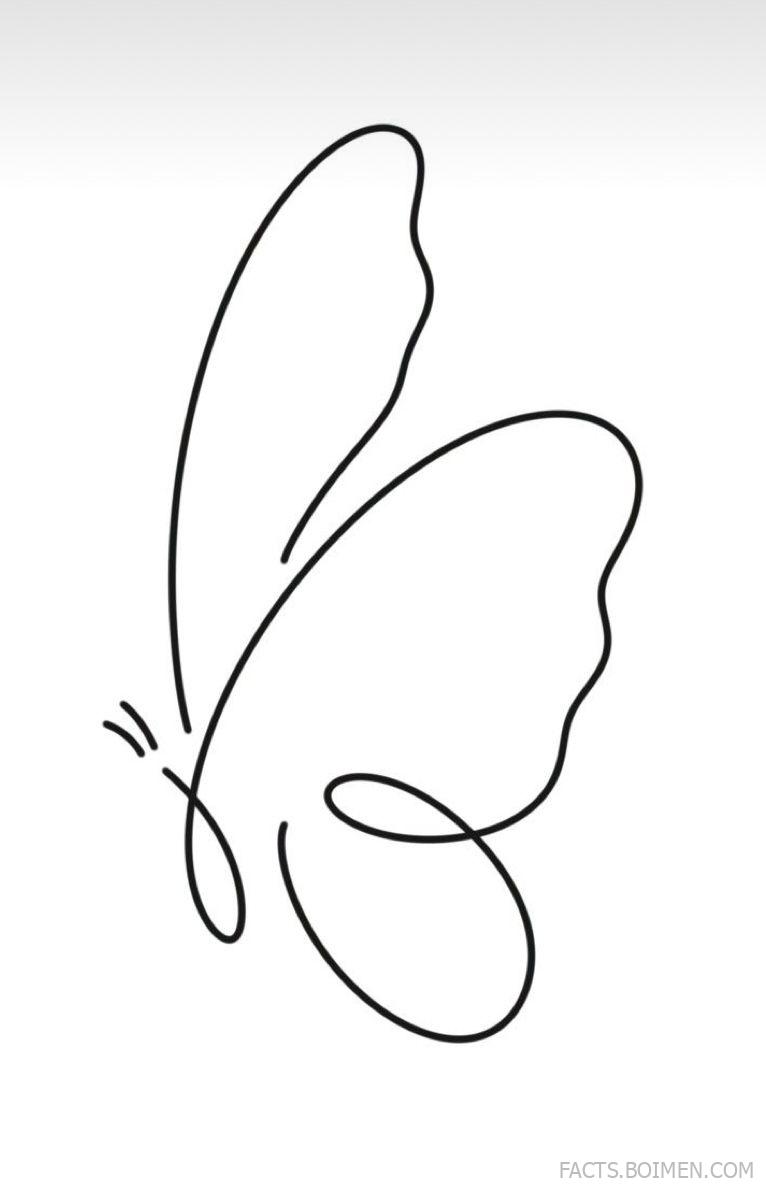 butterfly outline