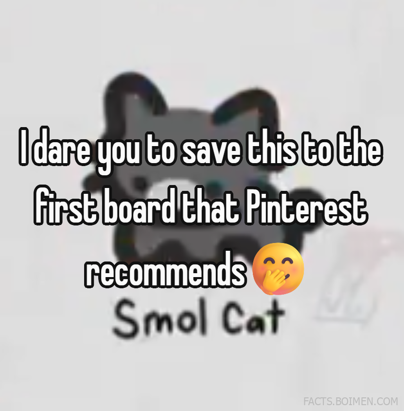 pinterest board ideas