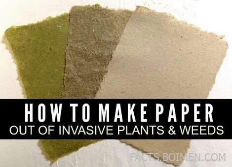 make paper invasive plants