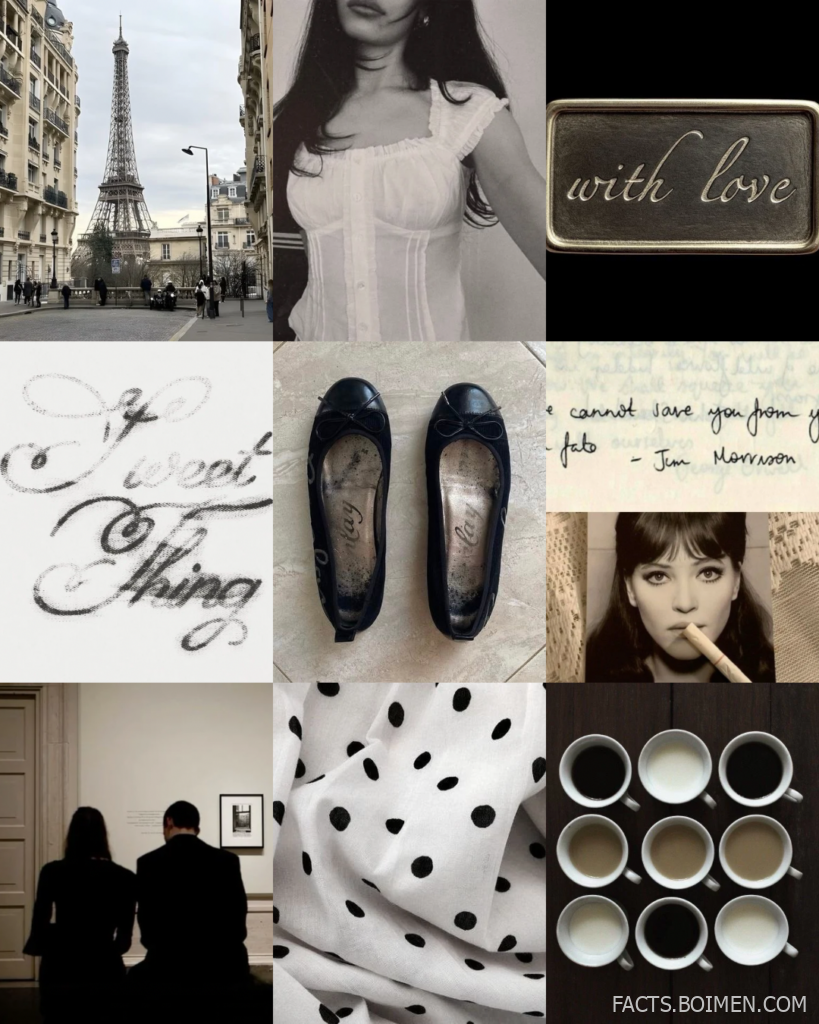 parisian shadows theme