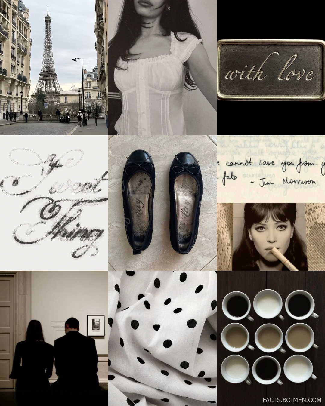 parisian shadows theme