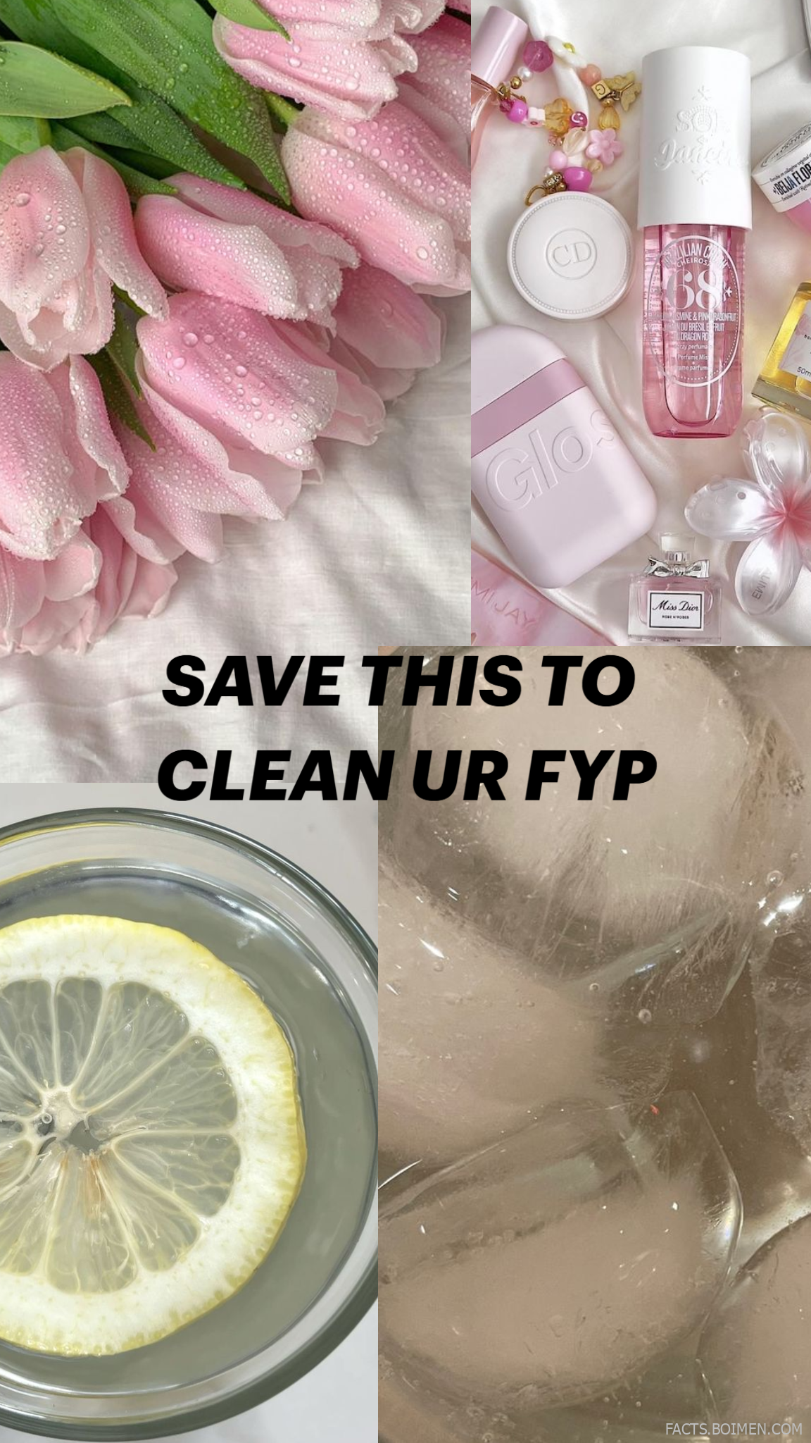 fyp reset