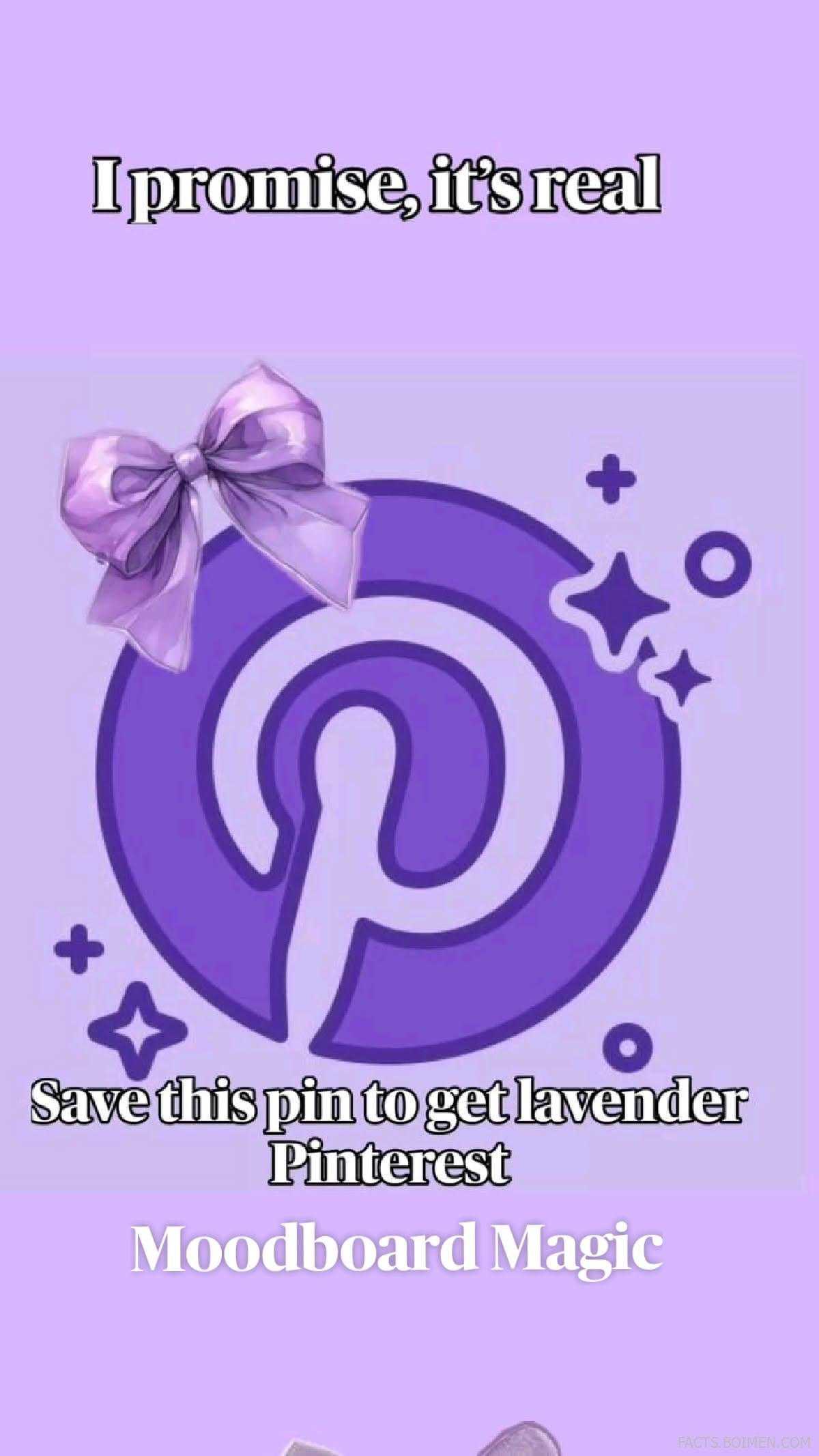 lavender moodboard