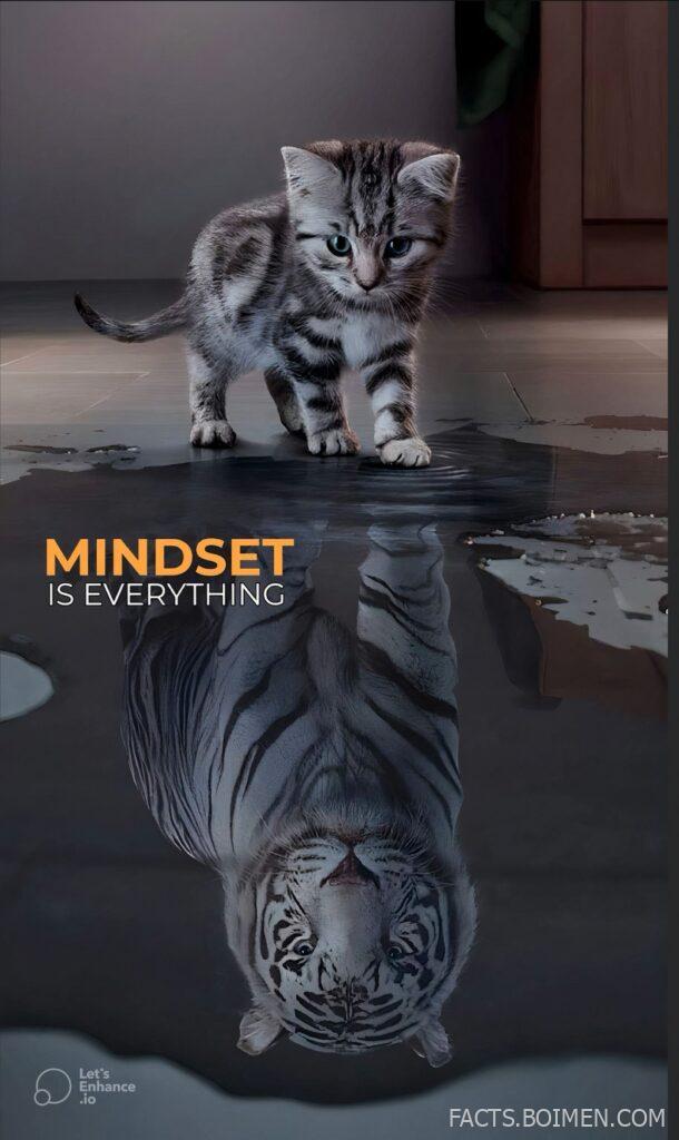 mindset tools