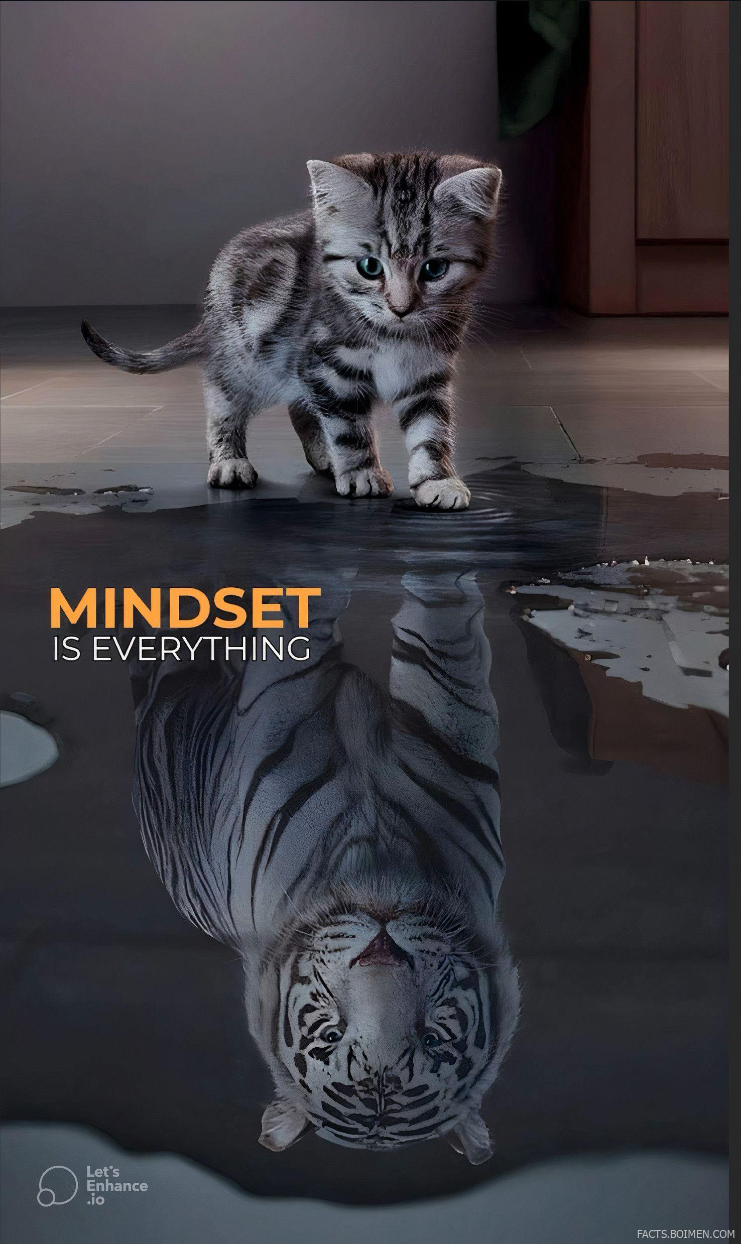 mindset tools
