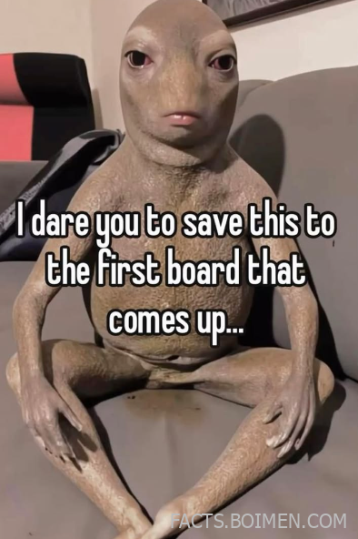 weird websites to save